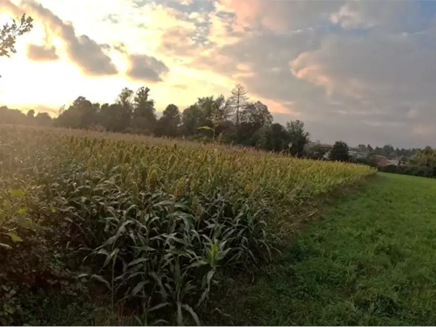 Immagine 5 di Terreno agricolo in vendita  in Via Cesare Barzaghi a Como