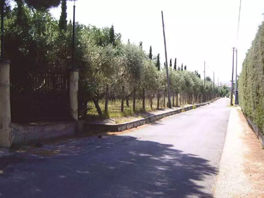 Immagine 2 di Terreno agricolo in vendita  in Via di Pozzi Bonelli  a Genzano Di Roma
