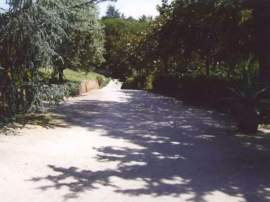 Immagine 4 di Terreno agricolo in vendita  in Via di Pozzi Bonelli  a Genzano Di Roma