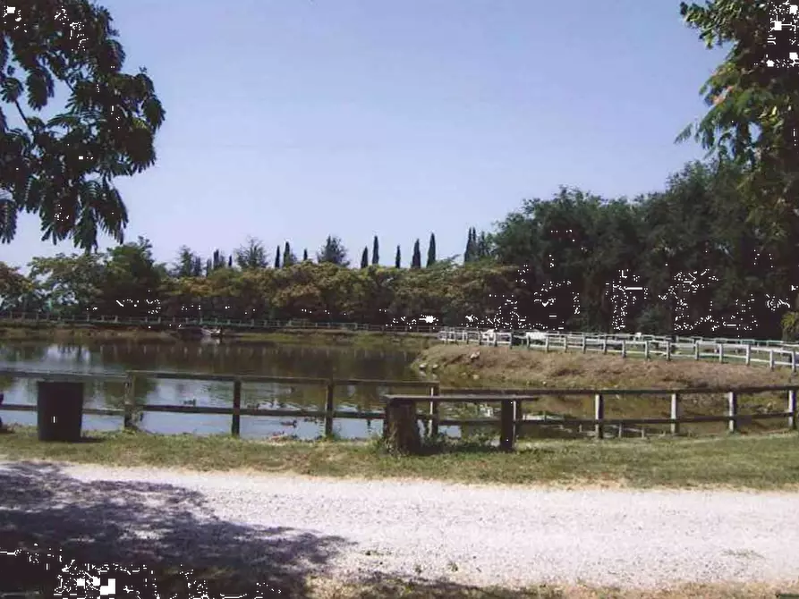 Immagine 5 di Terreno agricolo in vendita  in Via di Pozzi Bonelli  a Genzano Di Roma