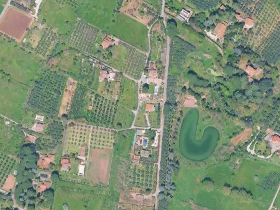 Immagine 9 di Terreno agricolo in vendita  in Via di Pozzi Bonelli  a Genzano Di Roma