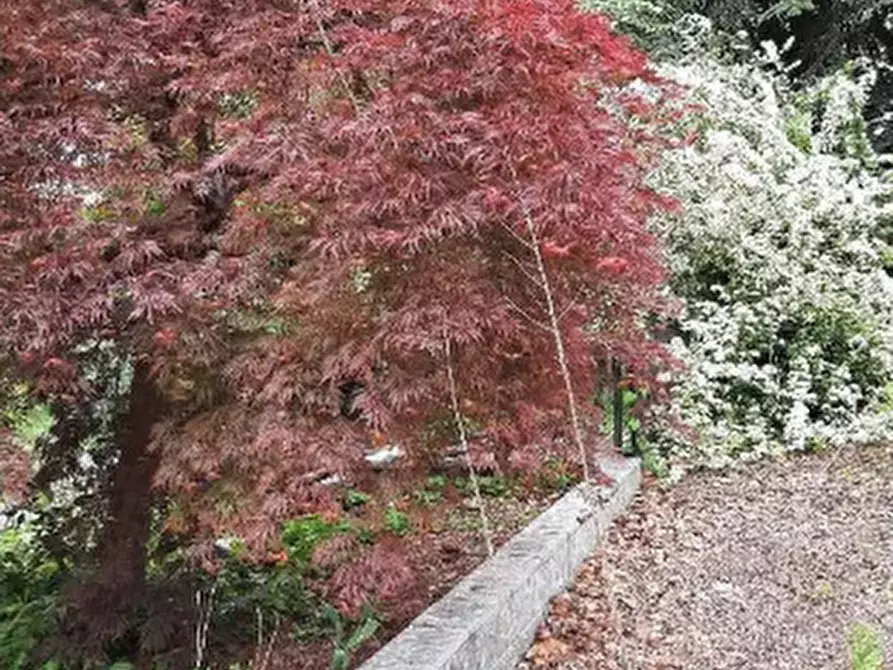 Immagine 9 di Capannone industriale in vendita  in Via Vittorio Veneto a Villa Guardia