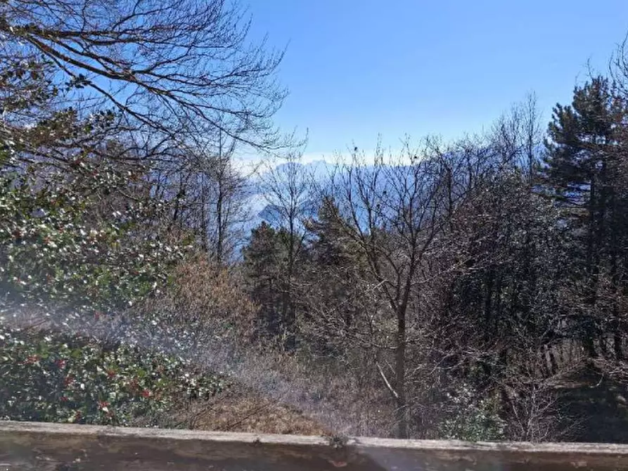 Immagine 3 di Villa in vendita  in Localita' Ponte  a Plesio