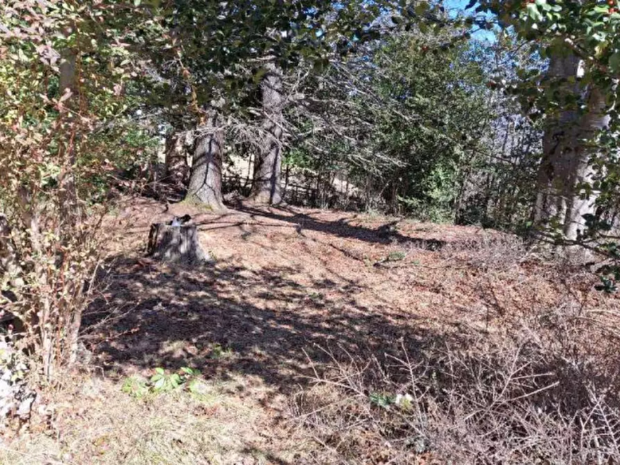 Immagine 4 di Villa in vendita  in Localita' Ponte  a Plesio