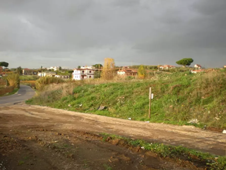 Immagine 2 di Terreno agricolo in vendita  in Via Vigne Nuove a Ariccia
