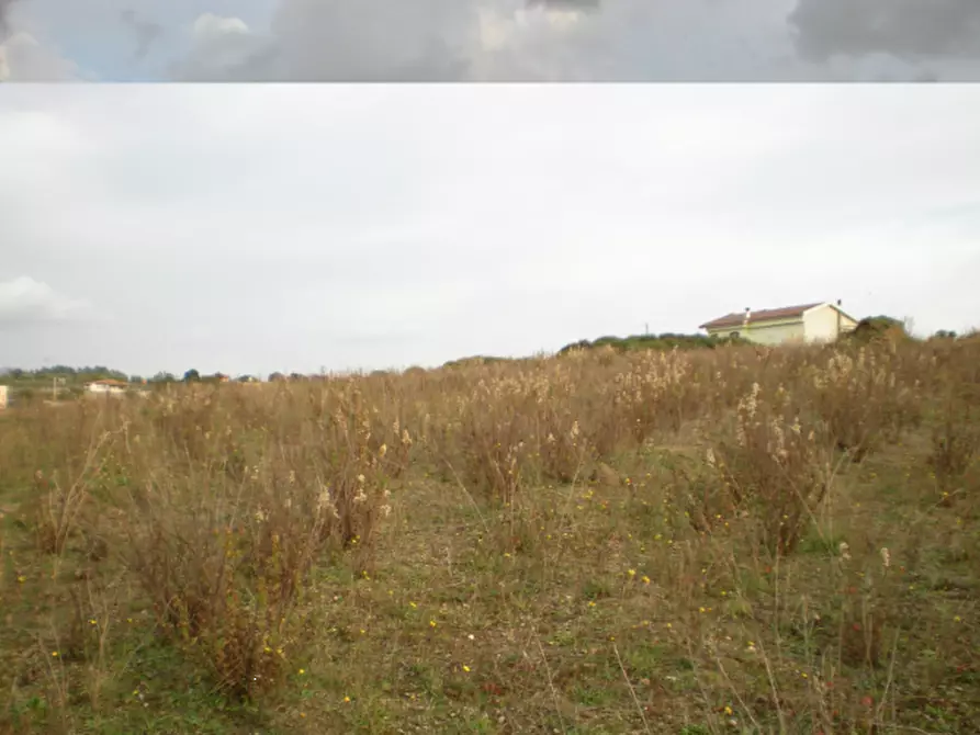 Immagine 3 di Terreno agricolo in vendita  in Via Vigne Nuove a Ariccia