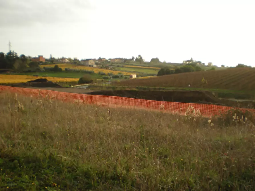 Immagine 4 di Terreno agricolo in vendita  in Via Vigne Nuove a Ariccia