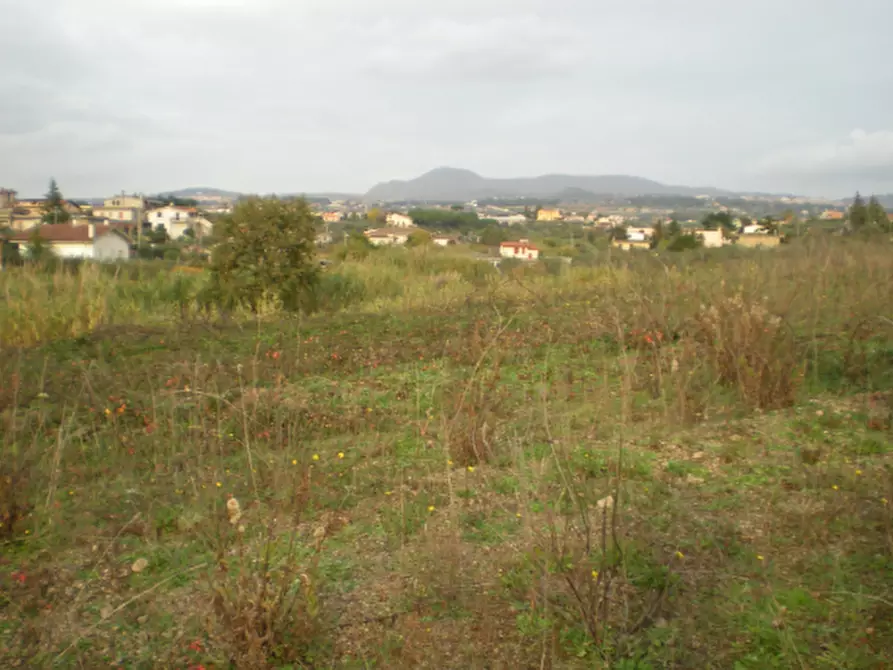 Immagine 5 di Terreno agricolo in vendita  in Via Vigne Nuove a Ariccia