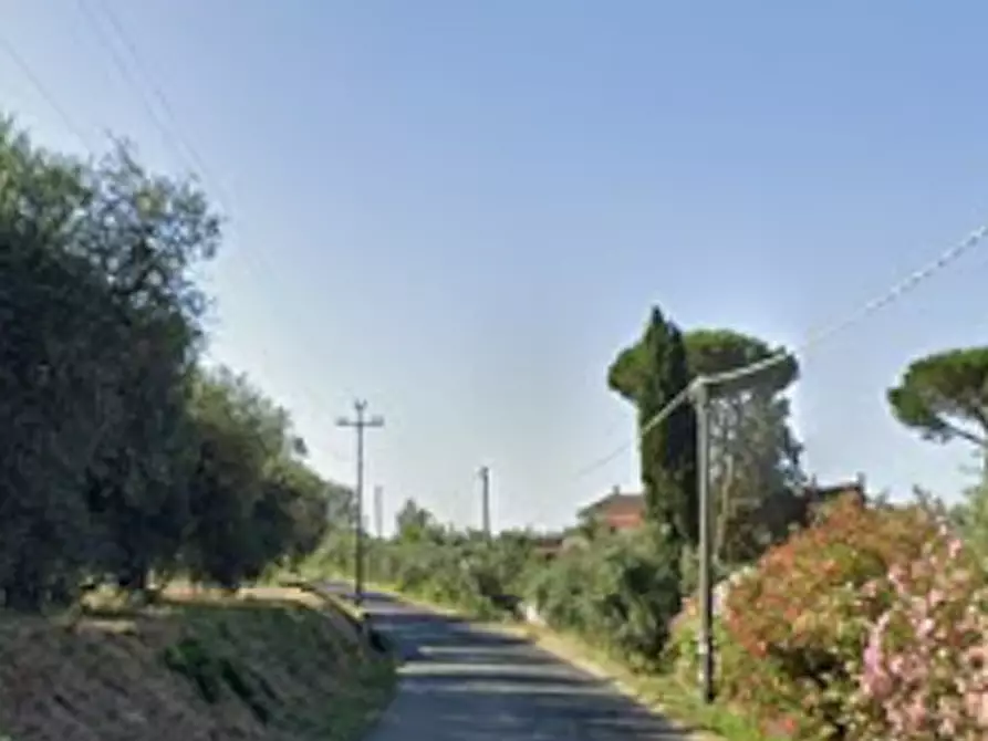 Immagine 8 di Terreno agricolo in vendita  in Via Vigne Nuove a Ariccia