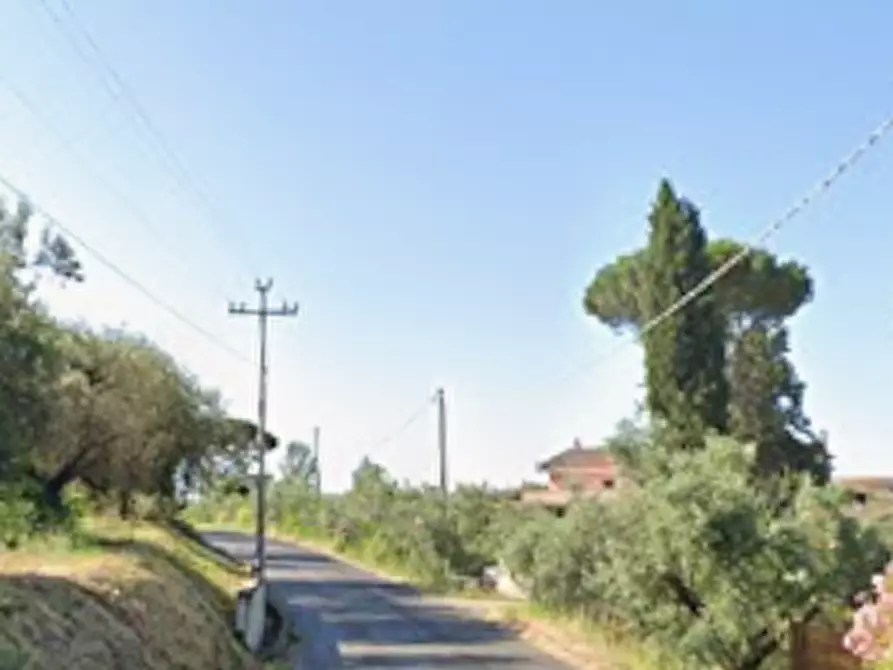 Immagine 9 di Terreno agricolo in vendita  in Via Vigne Nuove a Ariccia