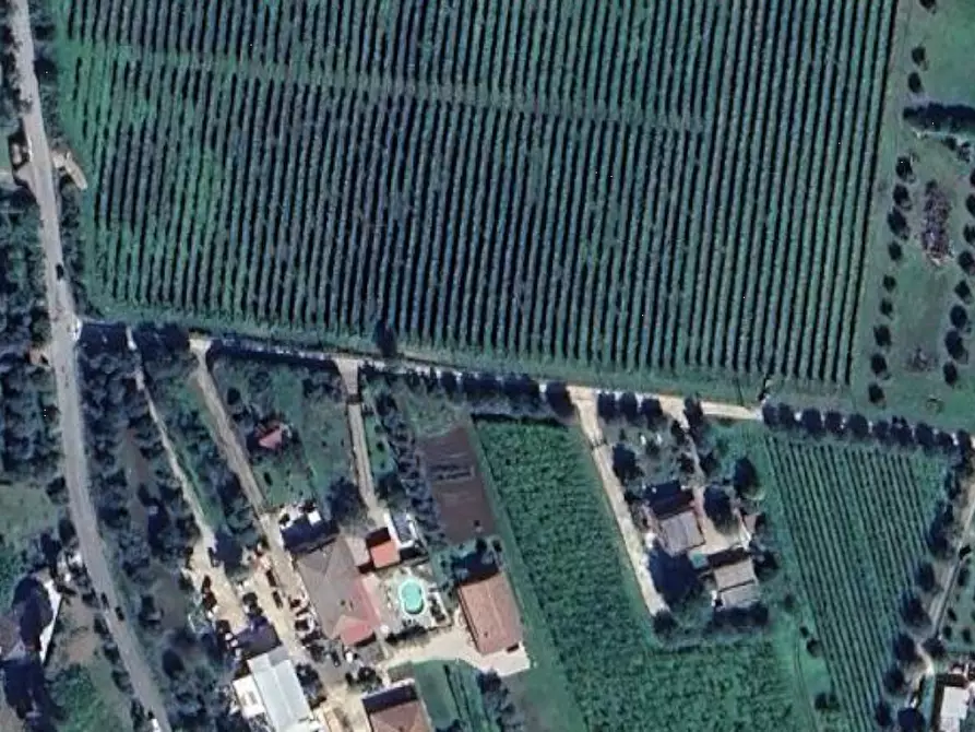 Immagine 10 di Terreno agricolo in vendita  in Via Vigne Nuove a Ariccia