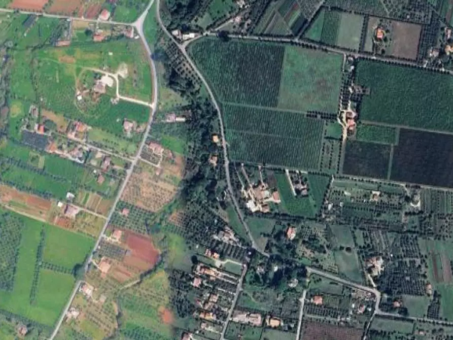 Immagine 13 di Terreno agricolo in vendita  in Via Vigne Nuove a Ariccia