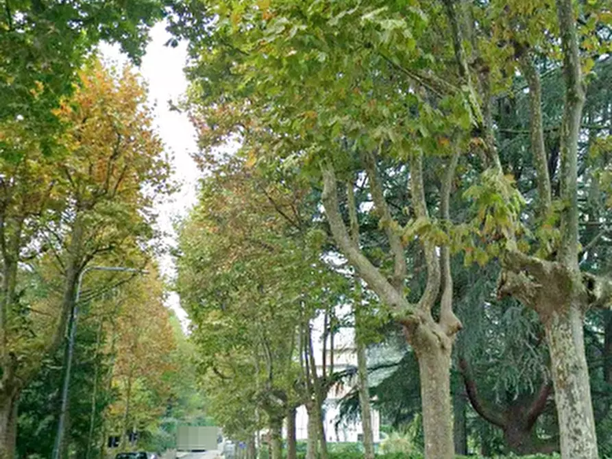 Immagine 8 di Porzione di casa in vendita  in Via G.B Vico  a Cuvio