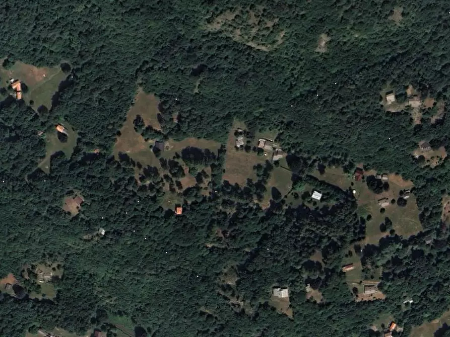 Immagine 1 di Terreno agricolo in vendita  in Località Plesio a Plesio