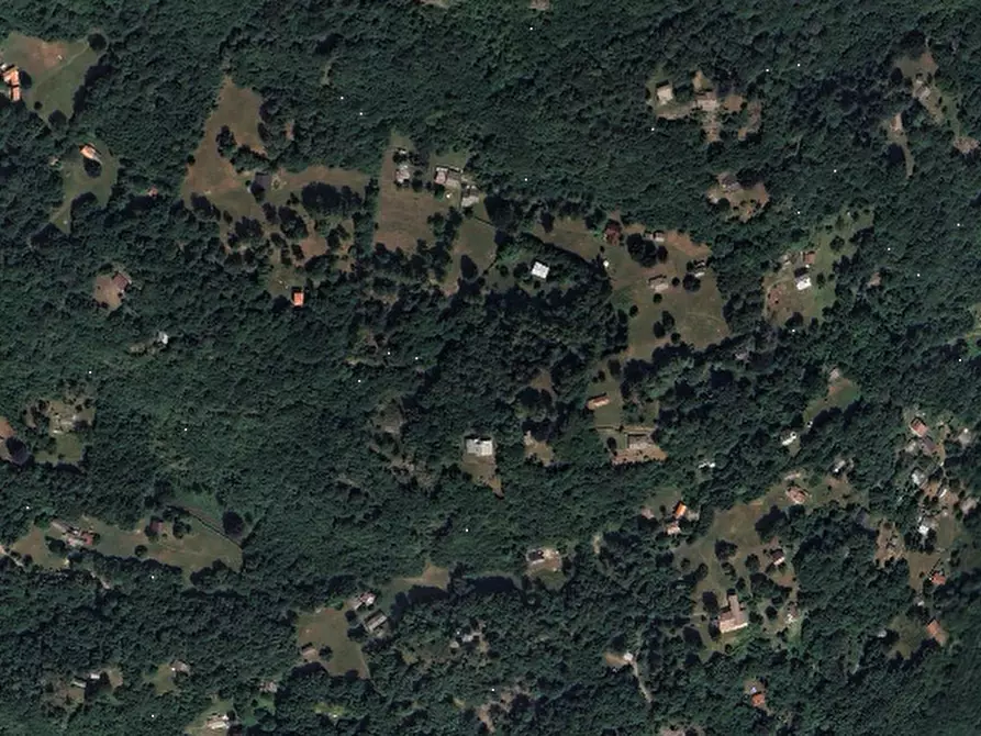 Immagine 2 di Terreno agricolo in vendita  in Località Plesio a Plesio