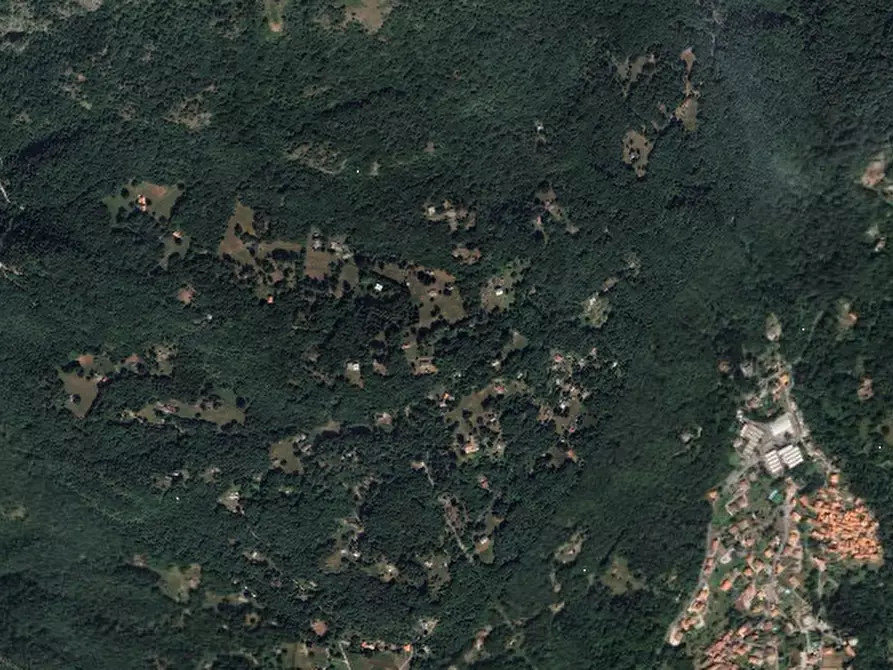 Immagine 4 di Terreno agricolo in vendita  in Località Plesio a Plesio