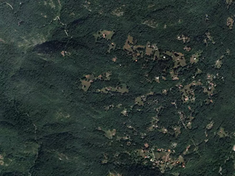 Immagine 6 di Terreno agricolo in vendita  in Località Plesio a Plesio