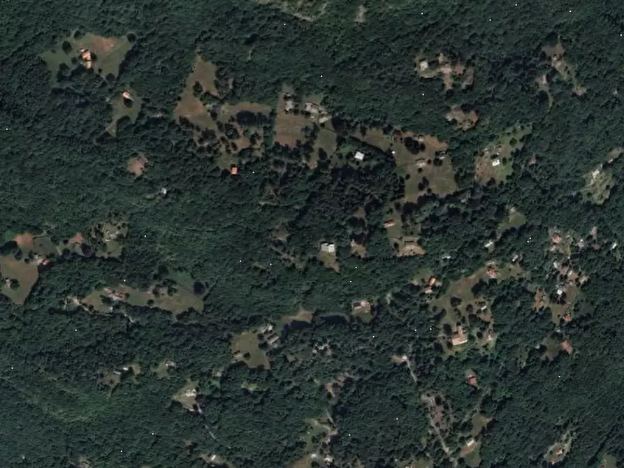 Immagine 7 di Terreno agricolo in vendita  in Località Plesio a Plesio