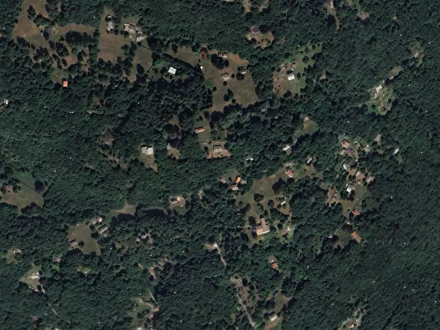 Immagine 15 di Rustico / casale in vendita  in Località Plesio a Plesio