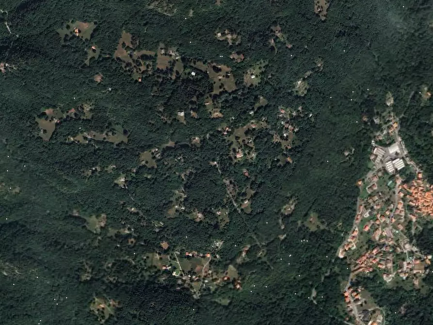 Immagine 17 di Rustico / casale in vendita  in Località Plesio a Plesio