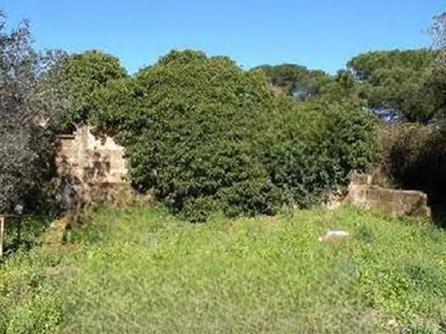 Immagine 7 di Terreno agricolo in vendita  in Via di Santa Fumia a Roma
