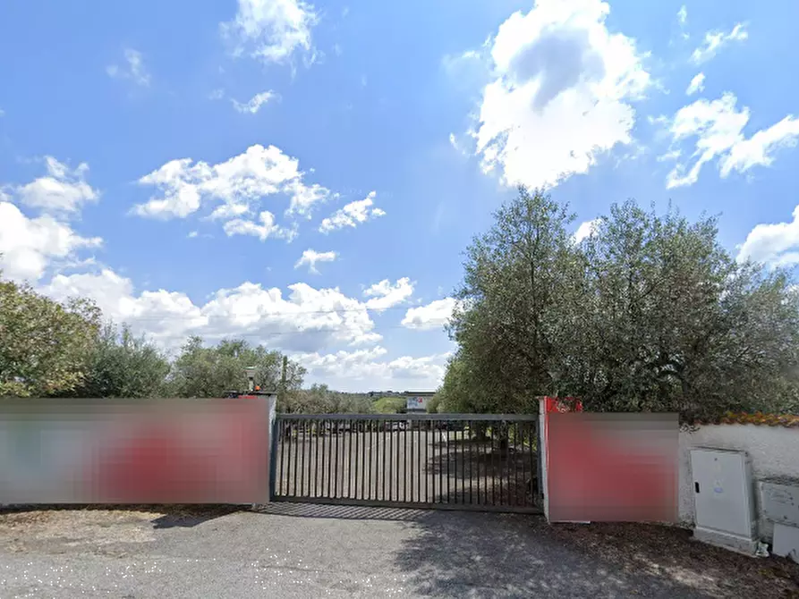 Immagine 8 di Terreno agricolo in vendita  in Via di Santa Fumia a Roma