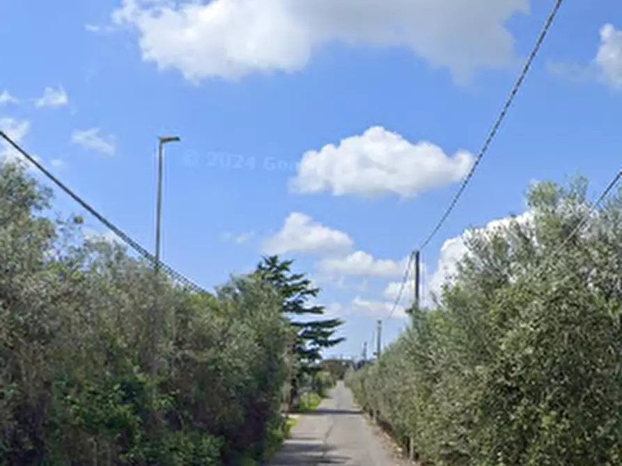 Immagine 10 di Terreno agricolo in vendita  in Via di Santa Fumia a Roma