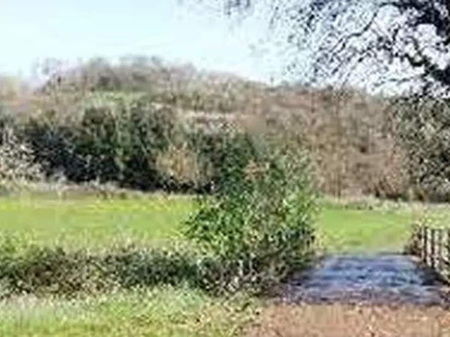 Immagine 1 di Terreno agricolo in vendita  in Via di Grottarossa  a Roma