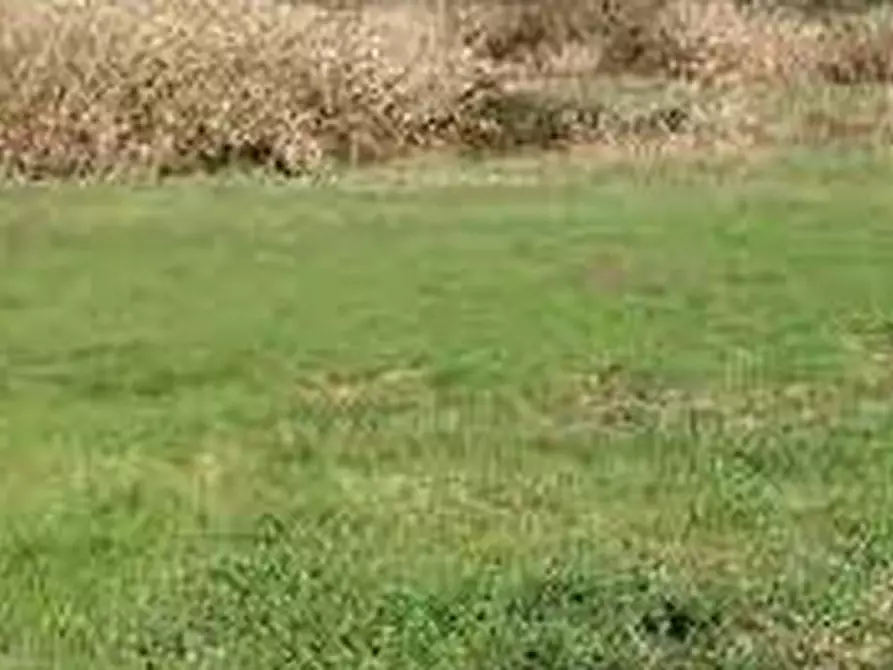 Immagine 2 di Terreno agricolo in vendita  in Via di Grottarossa  a Roma