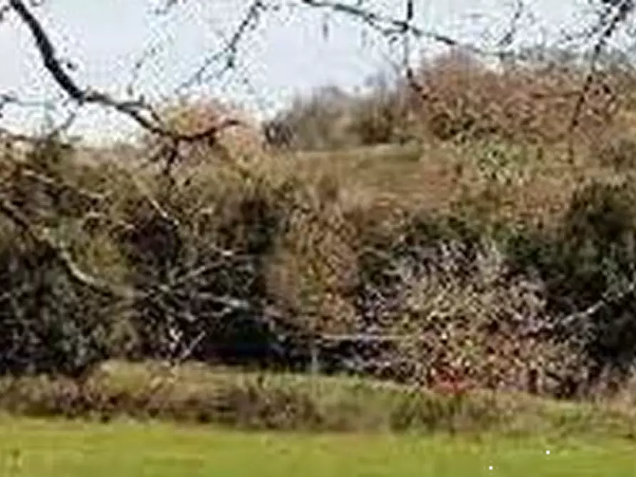 Immagine 3 di Terreno agricolo in vendita  in Via di Grottarossa  a Roma