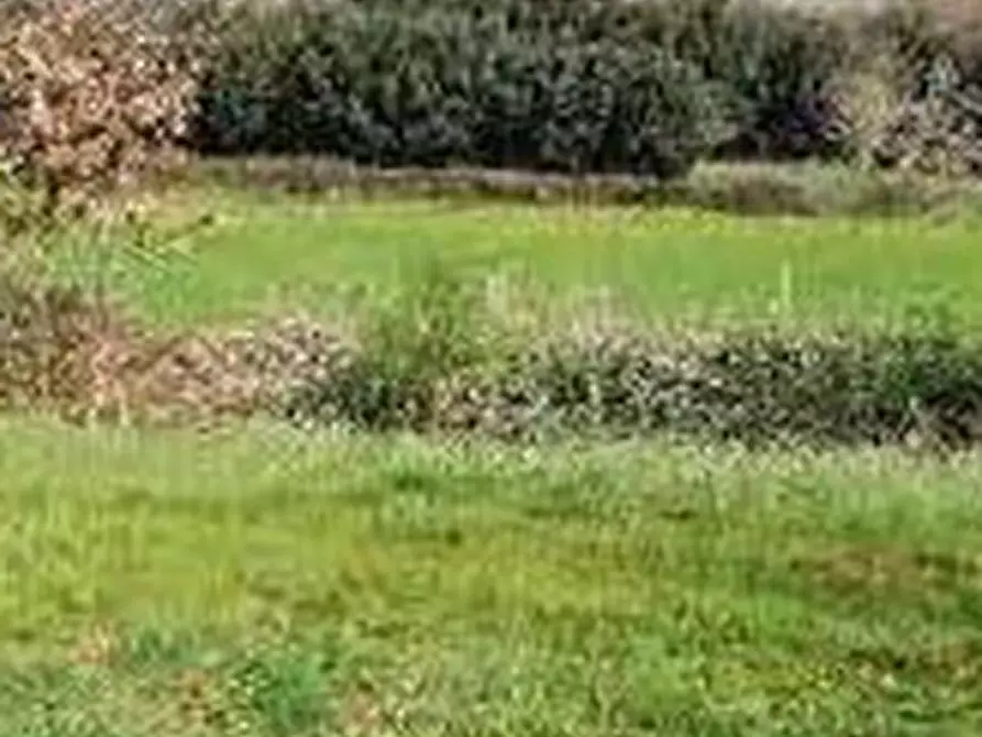 Immagine 4 di Terreno agricolo in vendita  in Via di Grottarossa  a Roma