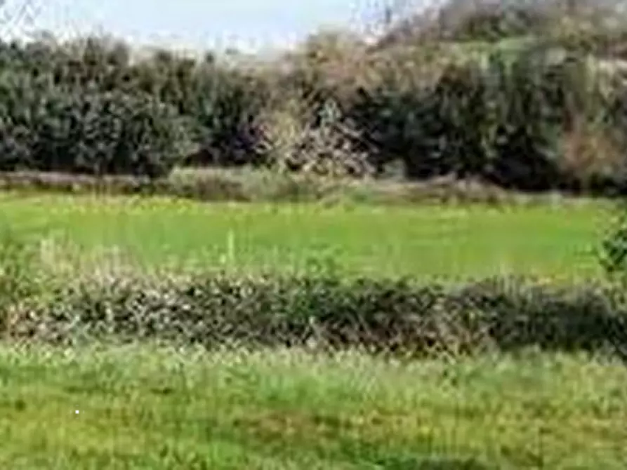 Immagine 5 di Terreno agricolo in vendita  in Via di Grottarossa  a Roma