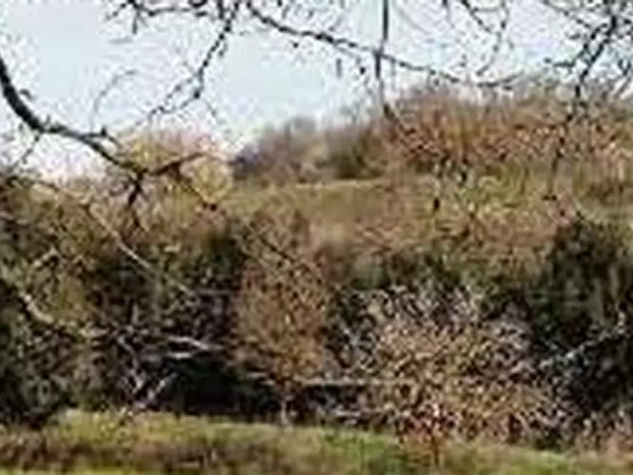 Immagine 4 di Terreno agricolo in vendita  in Via di Grottarossa  a Roma