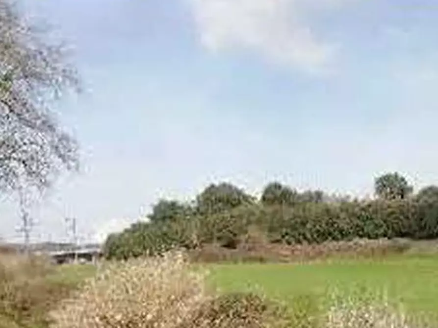 Immagine 6 di Terreno agricolo in vendita  in Via di Grottarossa  a Roma