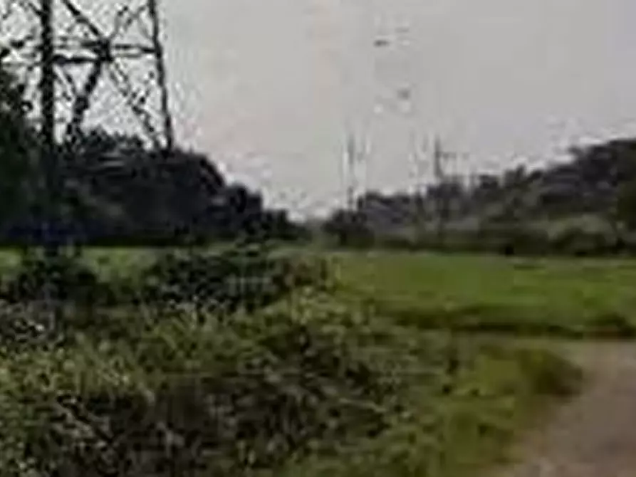 Immagine 7 di Terreno agricolo in vendita  in Via di Grottarossa  a Roma