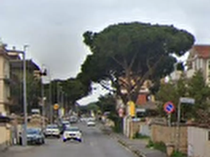 Immagine 7 di Negozio in vendita  in Via di Dragone a Roma