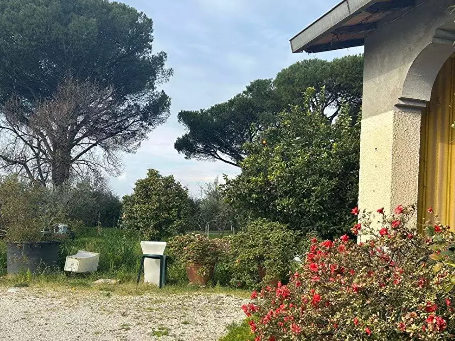 Immagine 4 di Villa in vendita  in Via Appia Sud a Velletri