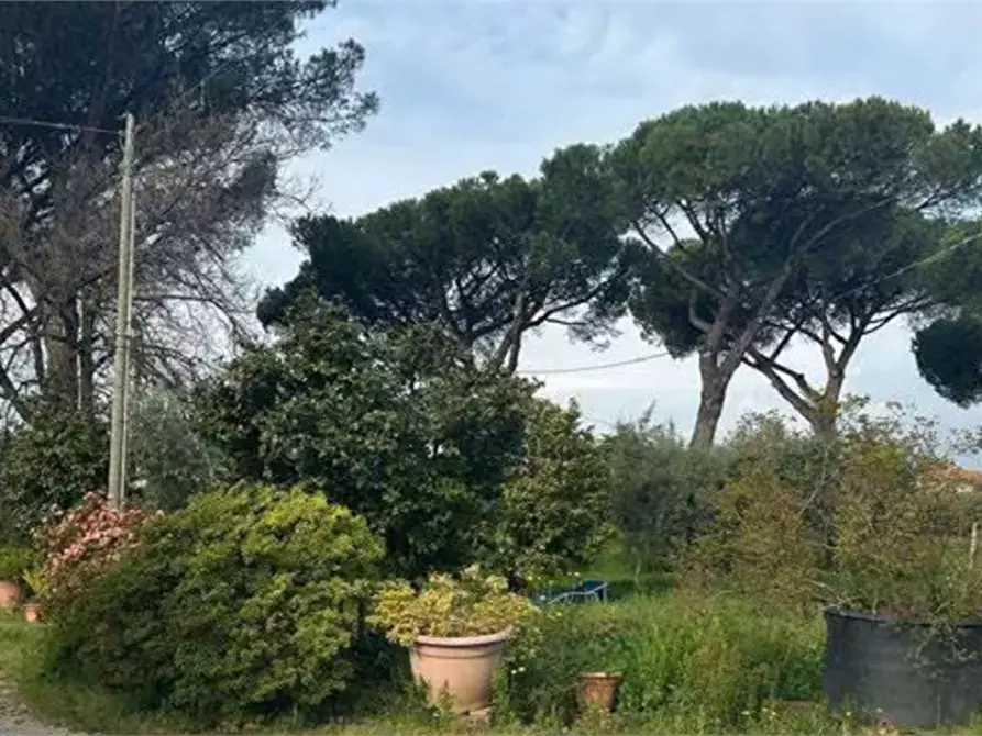 Immagine 5 di Villa in vendita  in Via Appia Sud a Velletri
