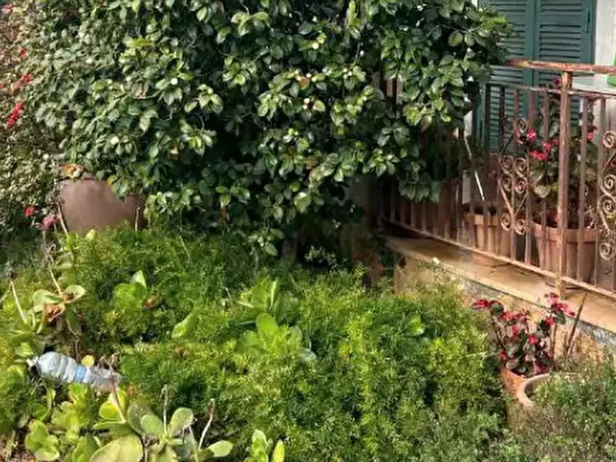 Immagine 9 di Villa in vendita  in Via Appia Sud a Velletri