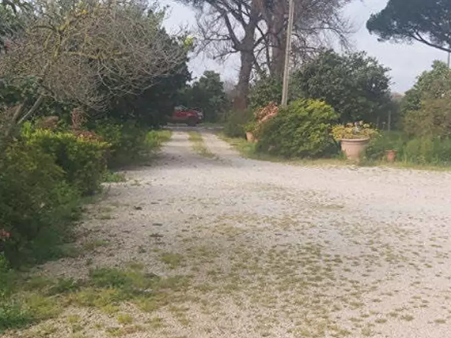 Immagine 11 di Villa in vendita  in Via Appia Sud a Velletri