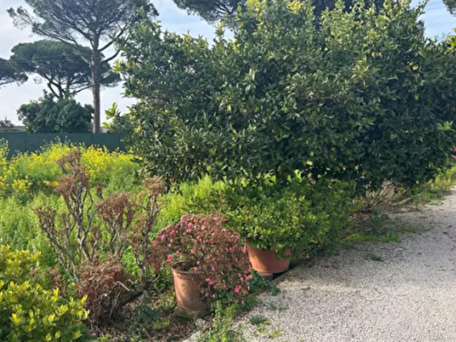 Immagine 12 di Villa in vendita  in Via Appia Sud a Velletri