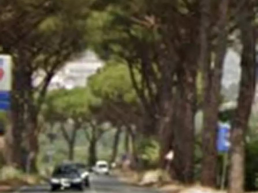 Immagine 21 di Villa in vendita  in Via Appia Sud a Velletri