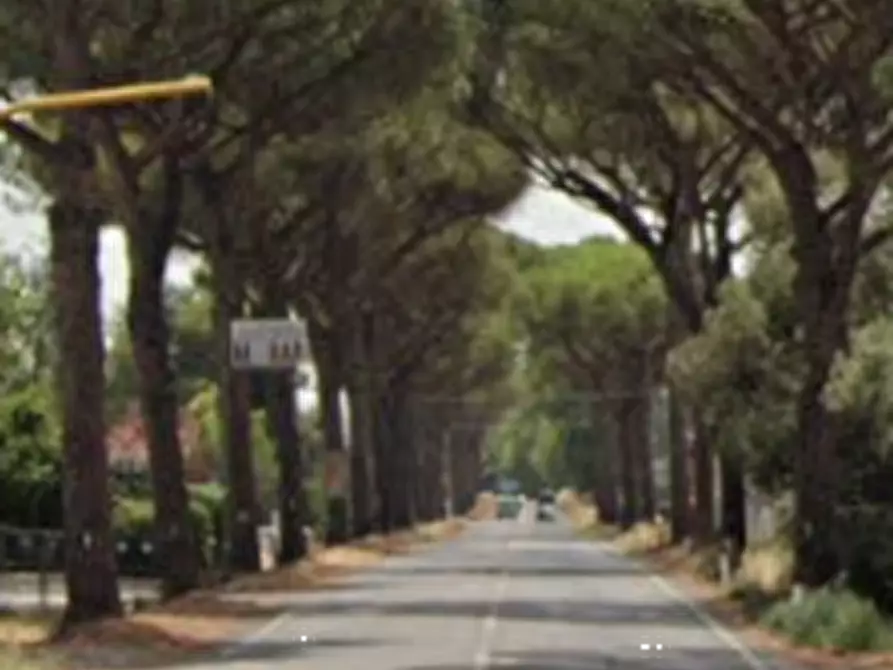 Immagine 22 di Villa in vendita  in Via Appia Sud a Velletri