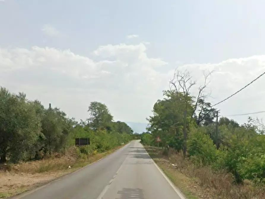 Immagine 2 di Villa in vendita  in Via Mediana Bonifica a Lanuvio