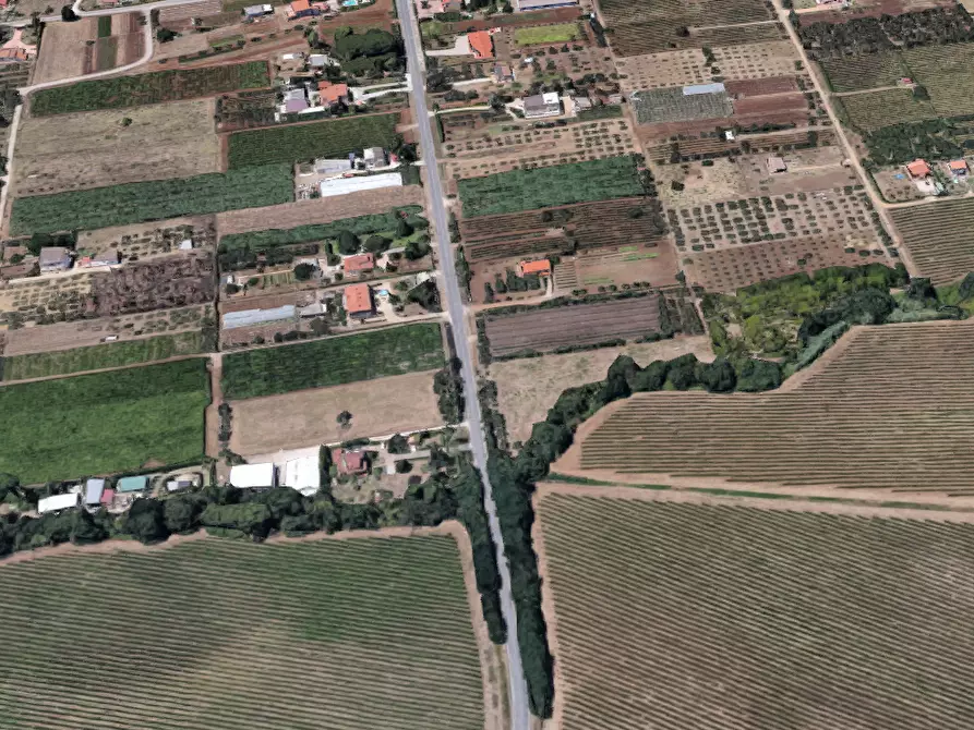 Immagine 5 di Villa in vendita  in Via Mediana Bonifica a Lanuvio