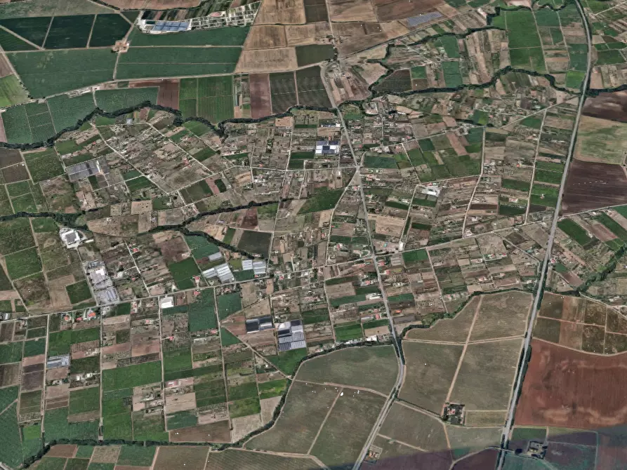 Immagine 10 di Villa in vendita  in Via Mediana Bonifica a Lanuvio