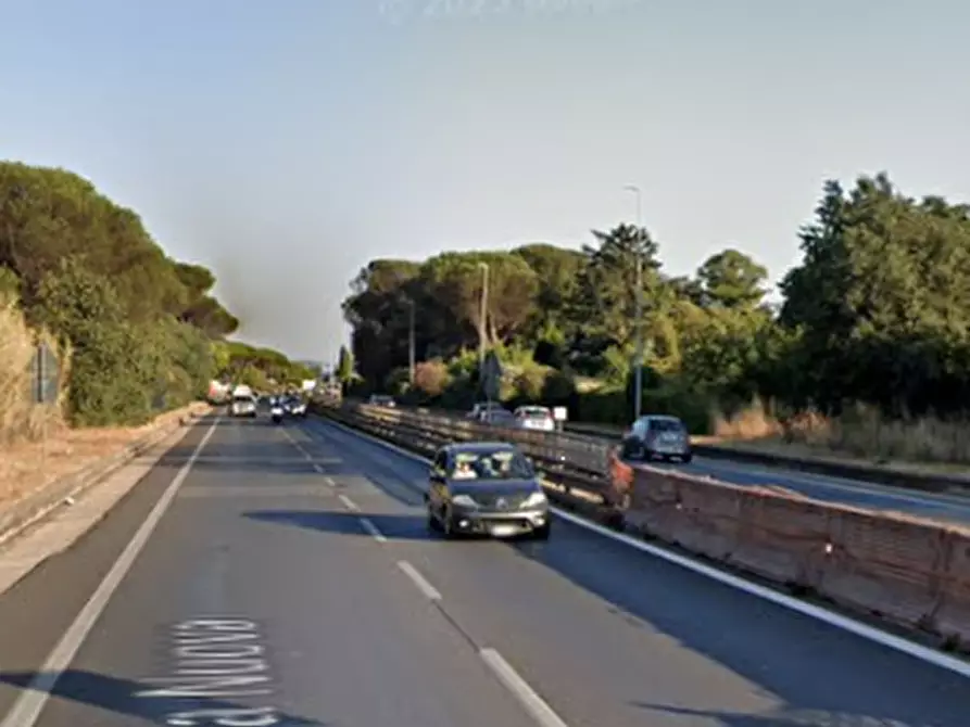 Immagine 6 di Terreno agricolo in vendita  in Via Appia Nuova a Velletri