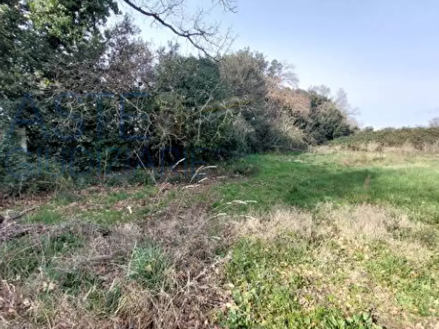 Immagine 5 di Terreno agricolo in vendita  in Largo dell'Olgiata a Roma
