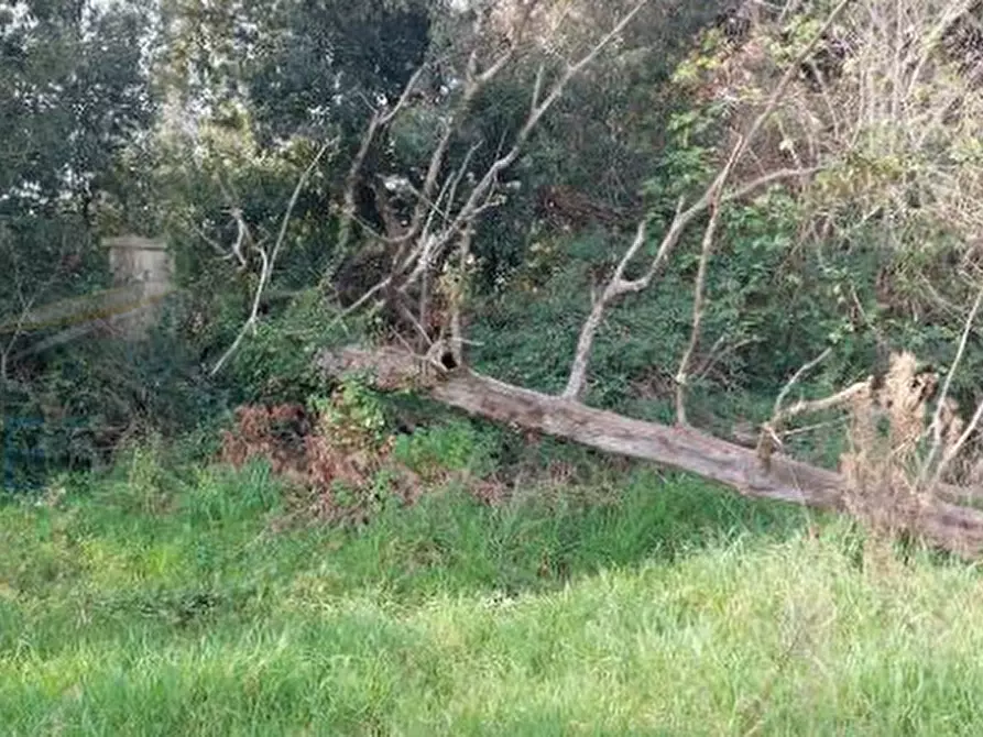 Immagine 6 di Terreno agricolo in vendita  in Largo dell'Olgiata a Roma
