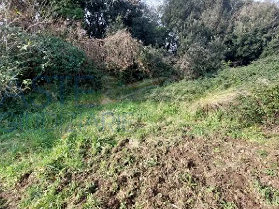 Immagine 7 di Terreno agricolo in vendita  in Largo dell'Olgiata a Roma